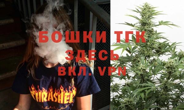 PSILOCYBIN Богородицк