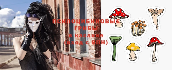ПСИЛОЦИБИНОВЫЕ ГРИБЫ Богданович