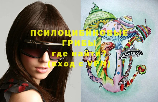 PSILOCYBIN Бородино